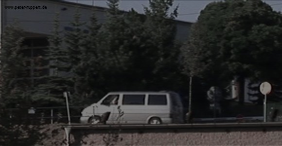 Interlacing - 2. Halbbild