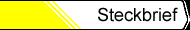 Steckbrief-a